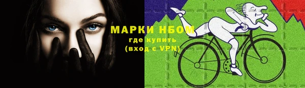 гашик Алексеевка