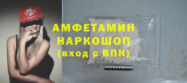 гашик Алексеевка