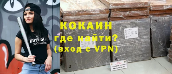 гашик Алексеевка